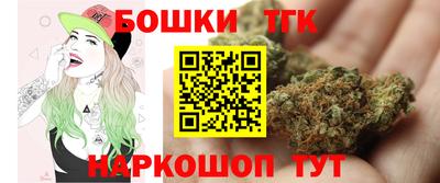 дмт Славгород
