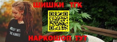 дмт Славгород